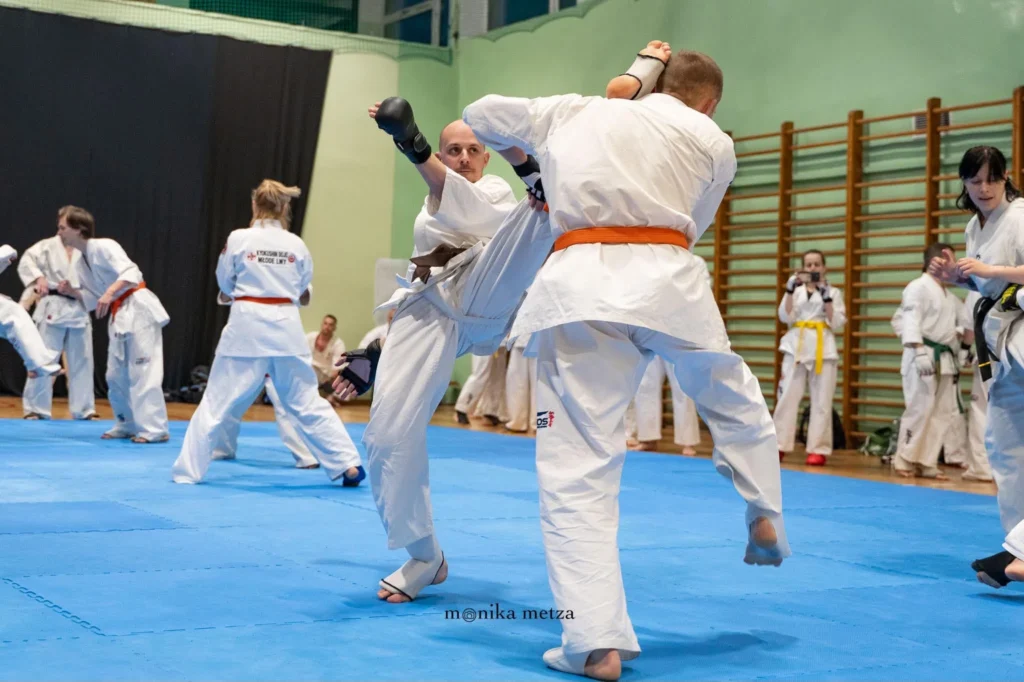 Karate Shinkyokushin