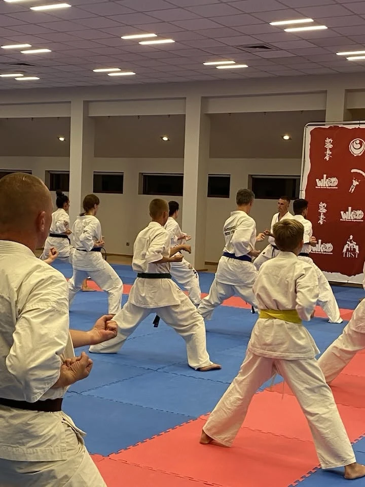 Młodzież na treningu karate