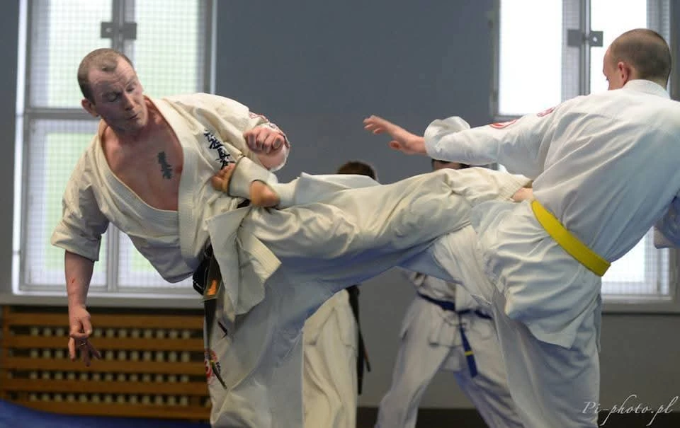 Style karate